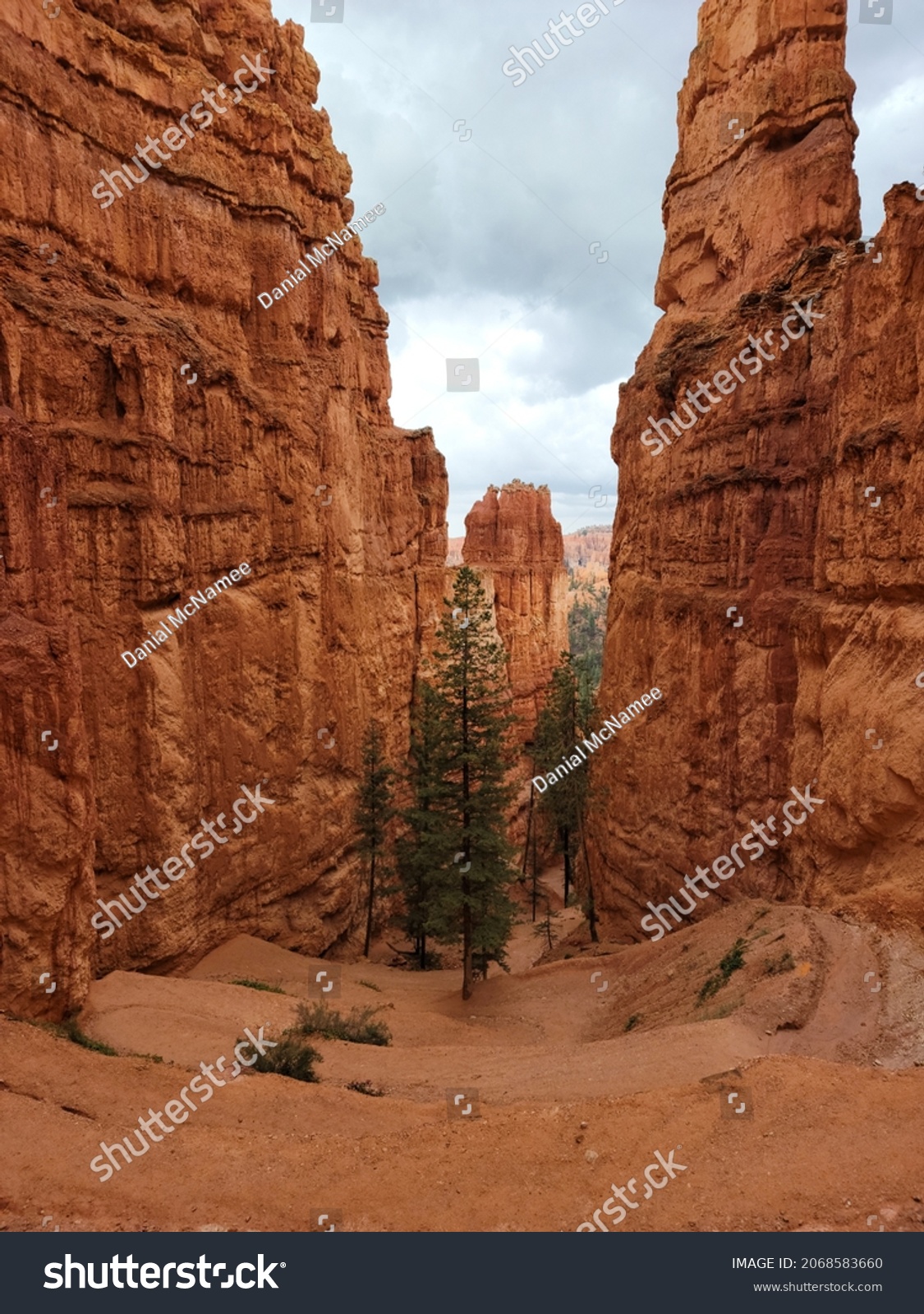 Bryce Canyon – rote Felsformationen