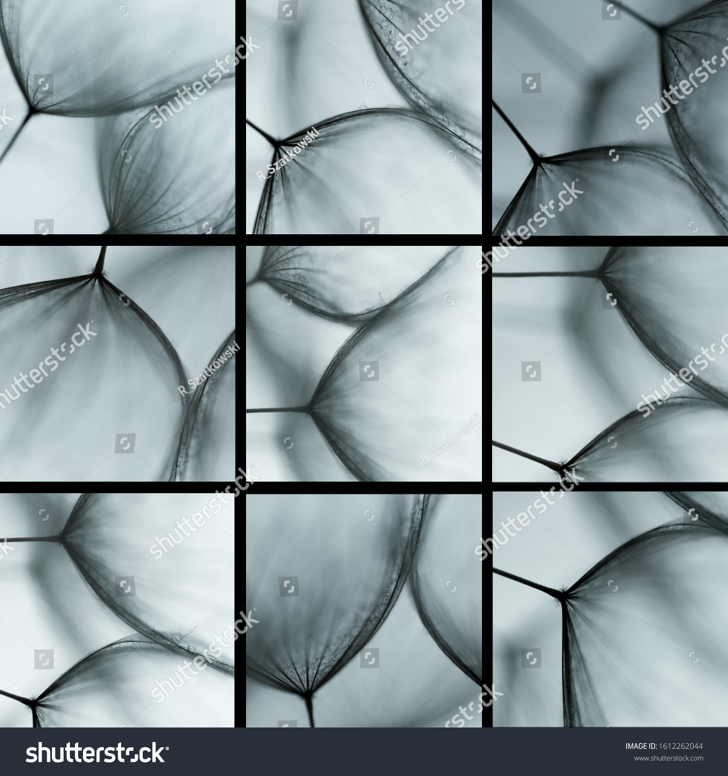 Künstlerische Löwenzahn-Collage