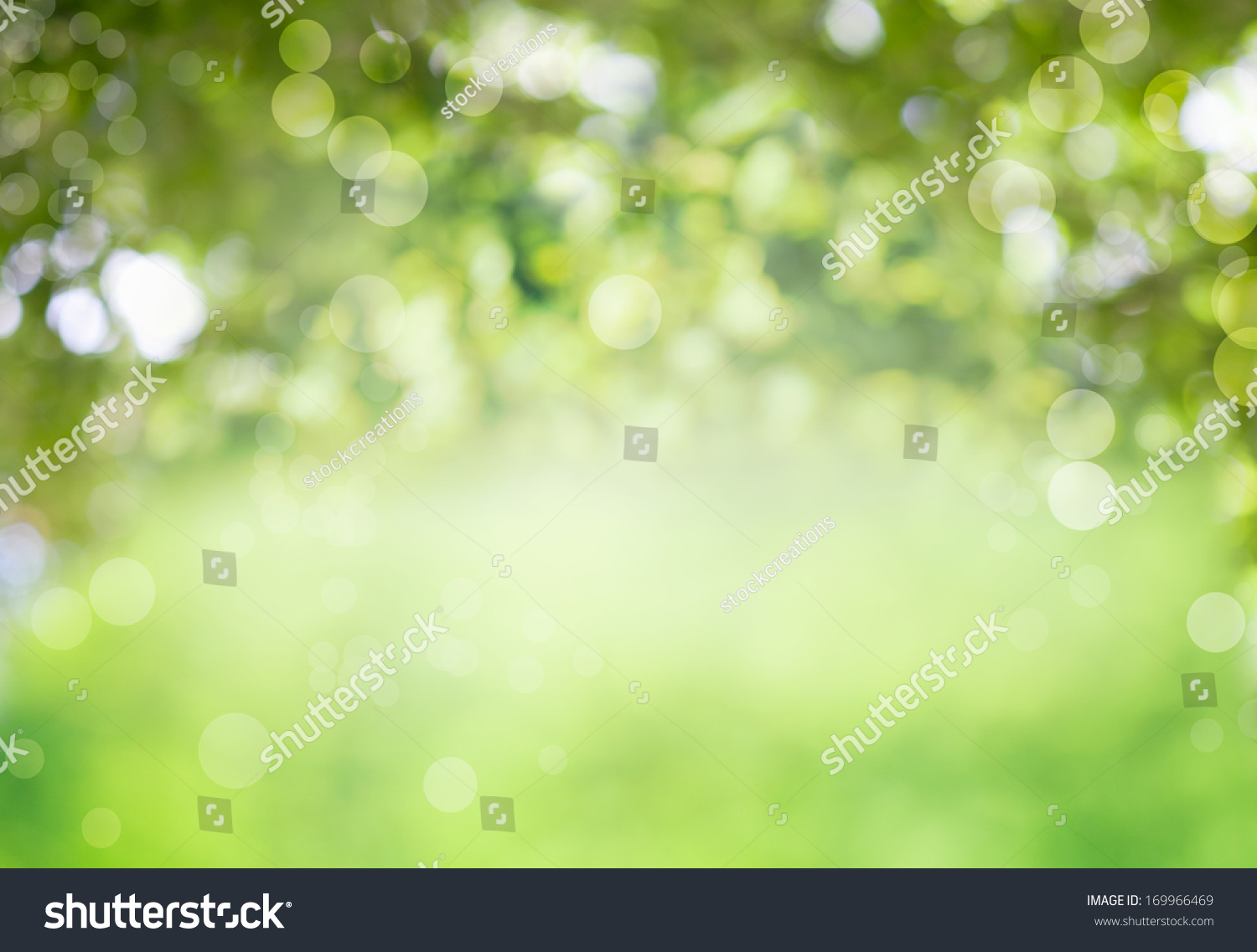 Grünes Blattwerk im Sonnenlicht als Symbol für Frische und Gesundheit