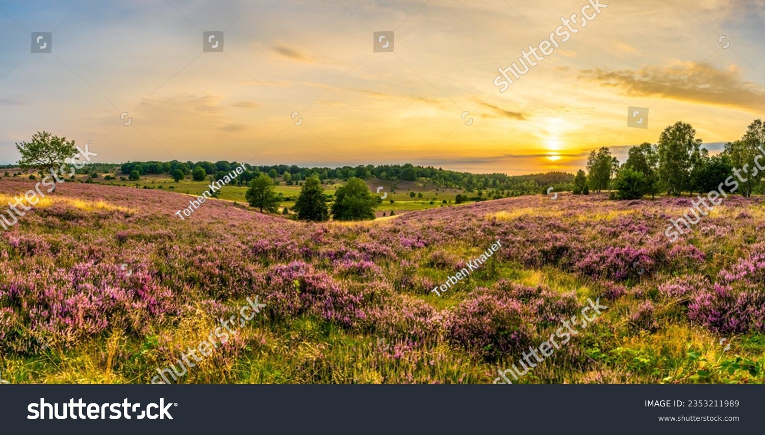 Sonnenuntergang über Heidefeld