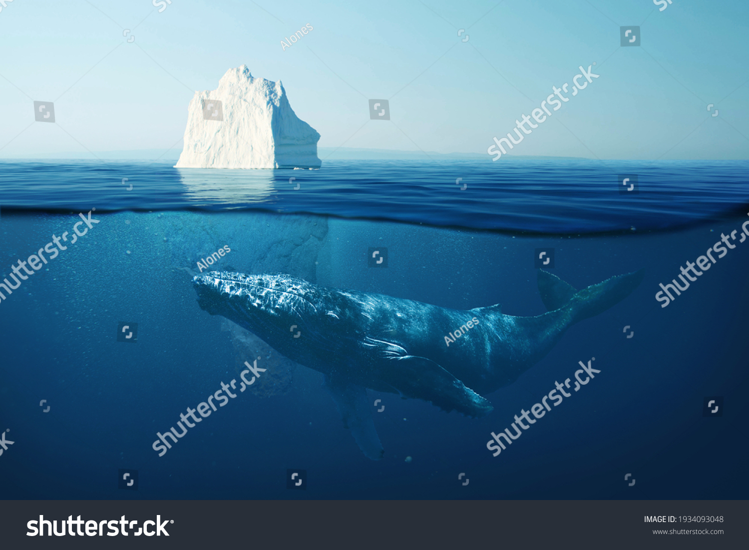 Eisberg im Ozean mit untertauchendem Wal