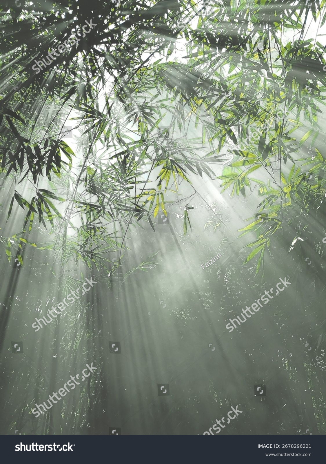 Licht fällt durch Bambusblätter