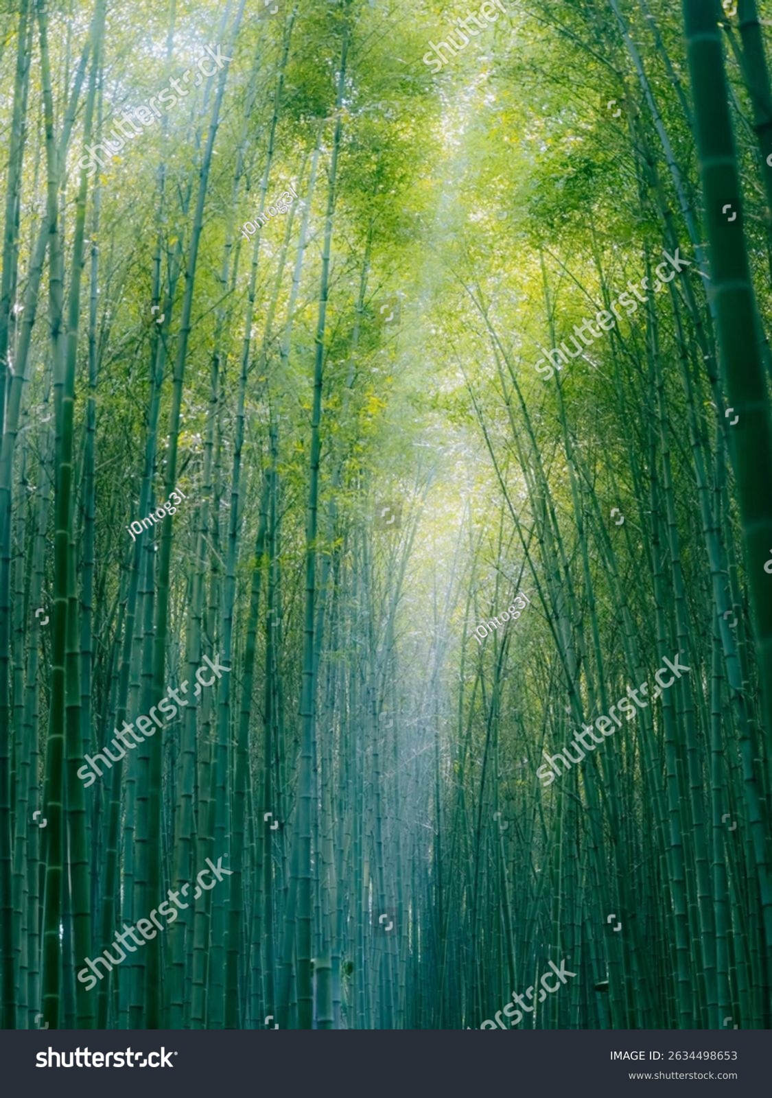 Bambuswald aus der Froschperspektive