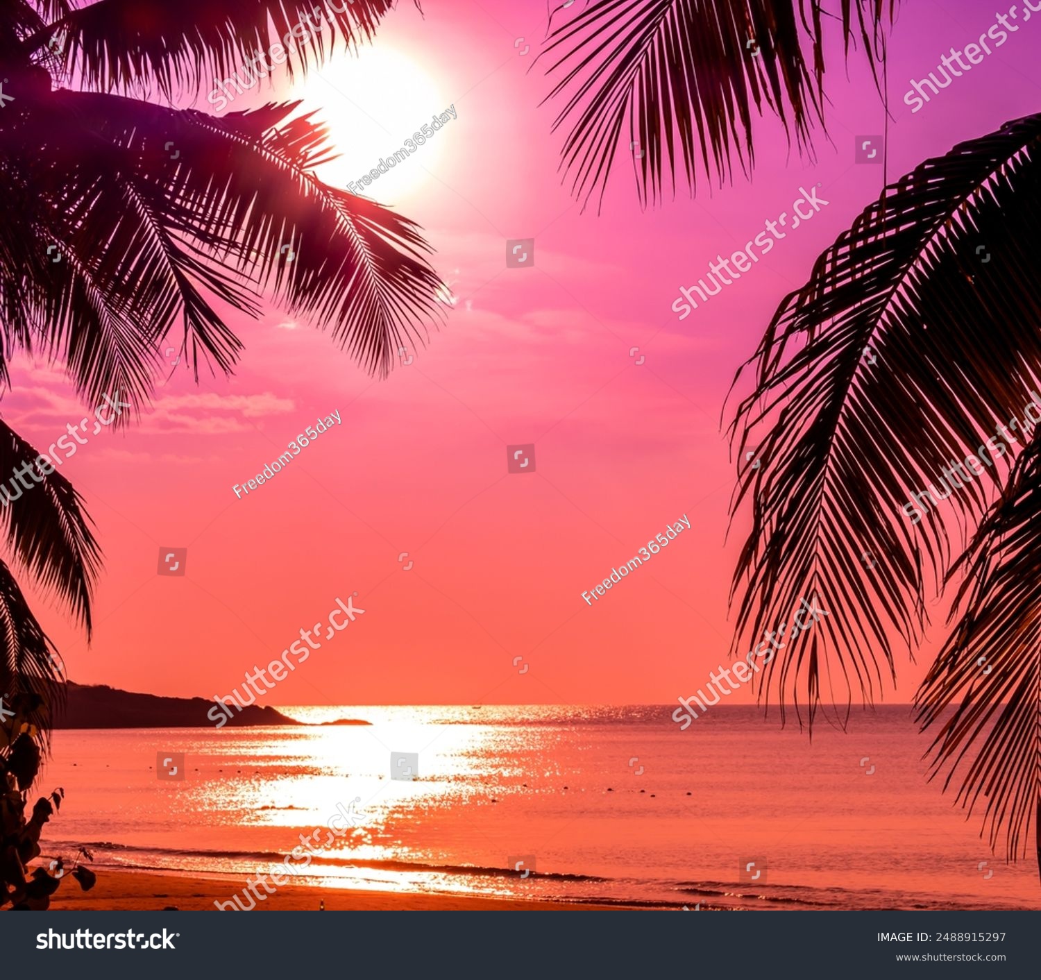 Palme am tropischen Strand bei rosa Sonnenuntergang