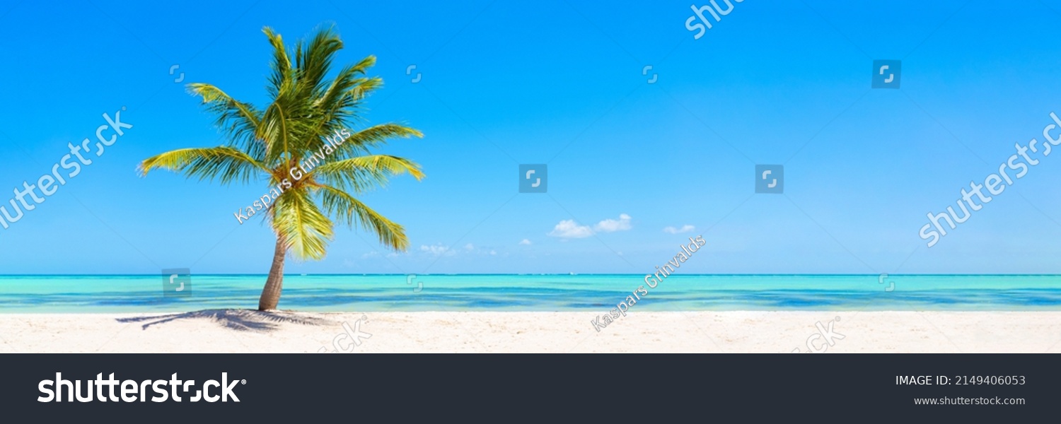 Idyllischer tropischer Strand mit Palme
