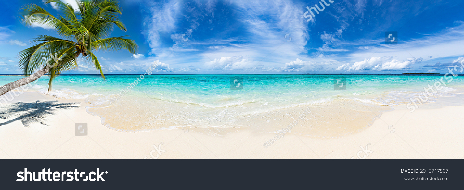 Paradiesischer Strand mit Kokospalme und türkisblauem Wasser