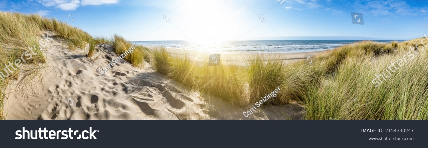 Panorama mit Sanddünen und Meer an der Nordsee