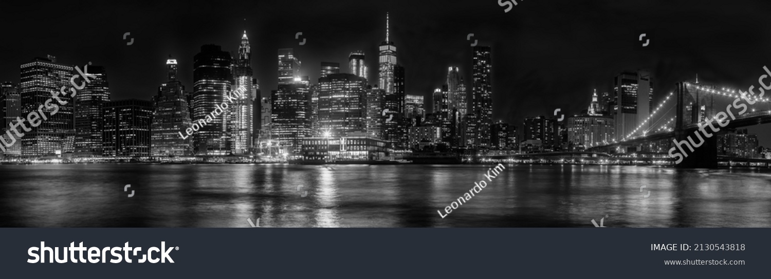 New York City Panorama