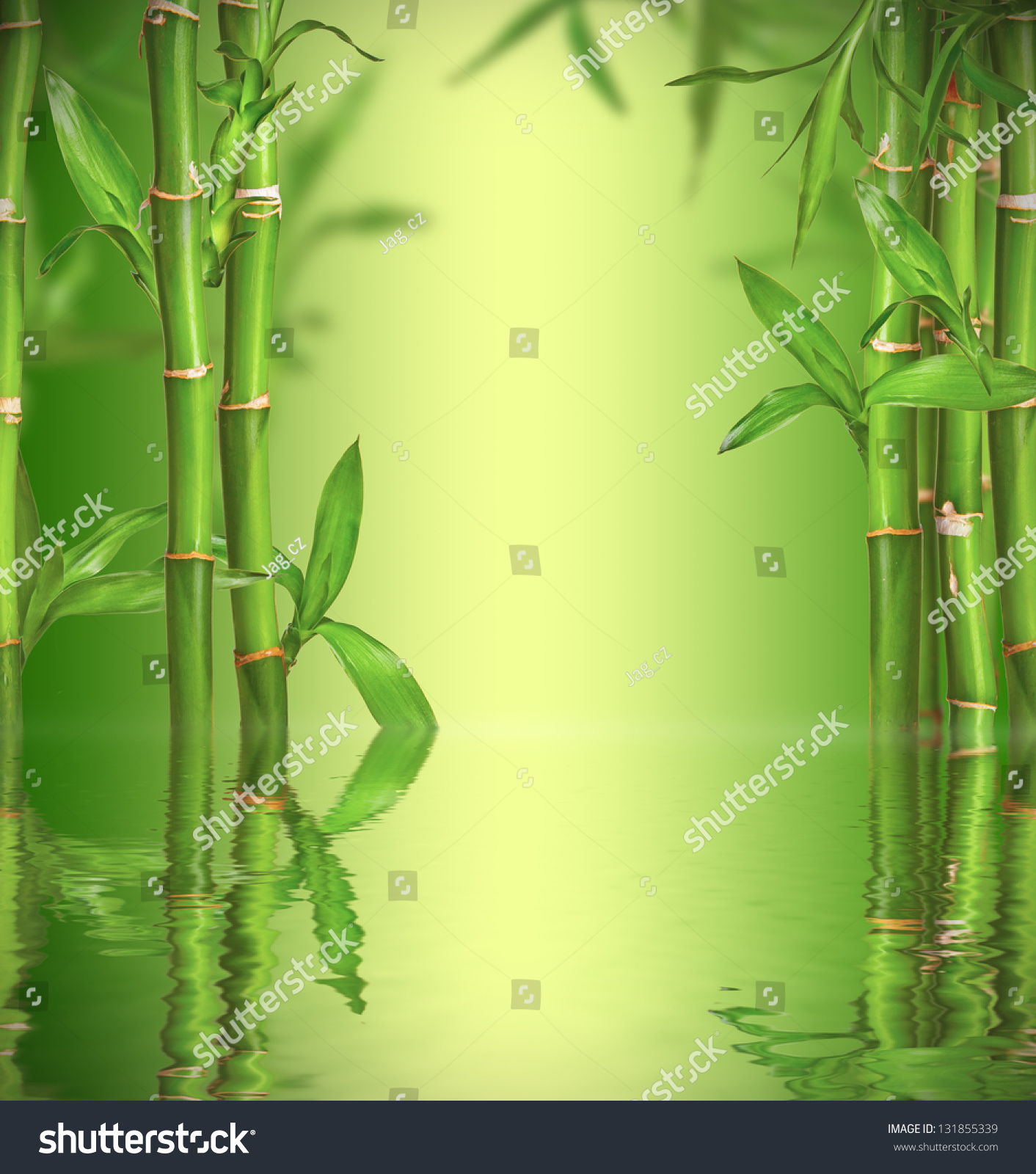 Spa-Stillleben mit zarten Bambussprossen