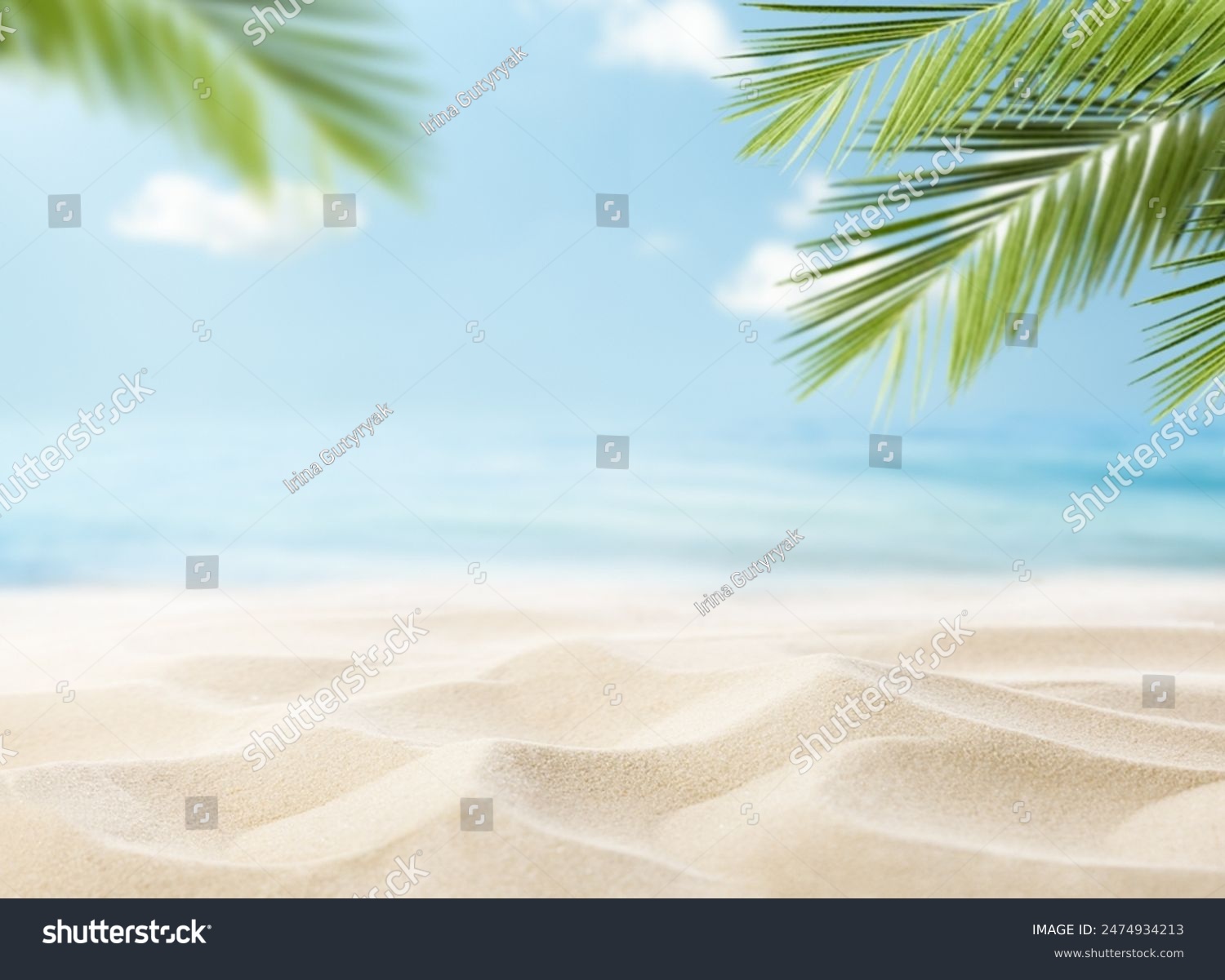 Sommerlicher Strand mit Meer und Palmblättern im Vordergrund