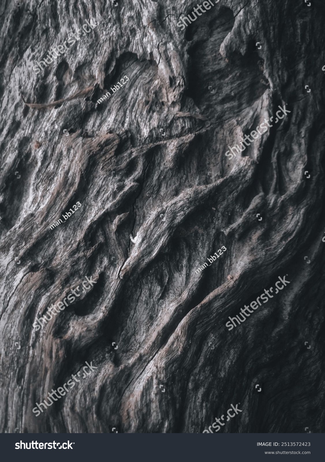 Holzrinde in Schwarz-Weiß