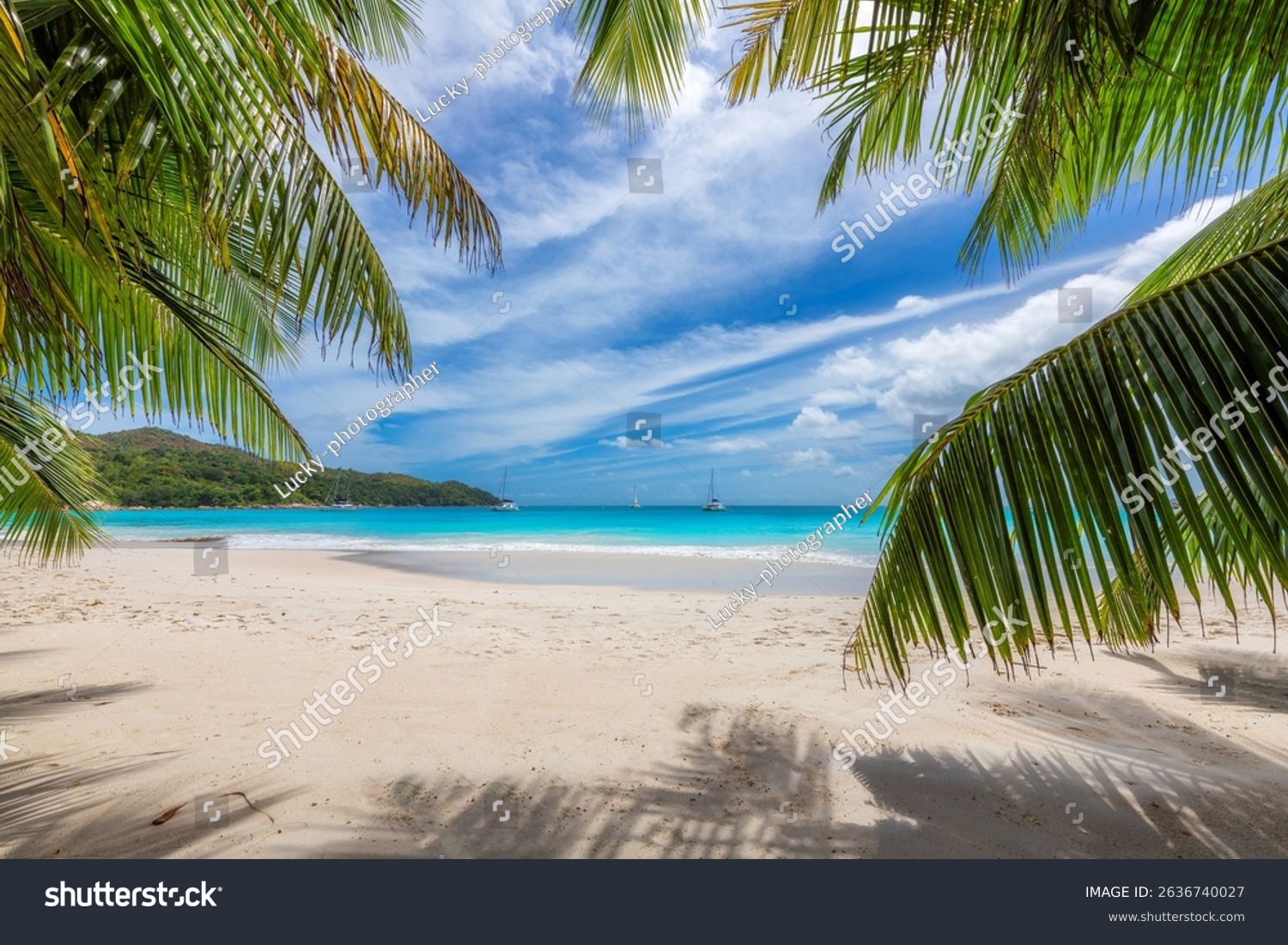 Sonnige Palmenblätter über hellem Tropenstrand