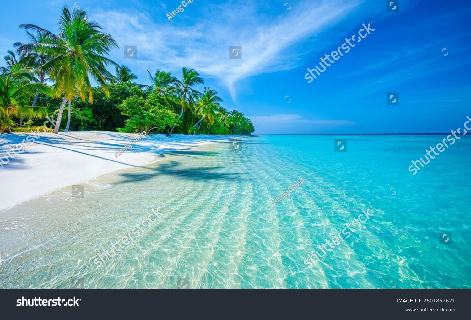 Ruhige Wellen und Palmen an tropischem Inselstrand