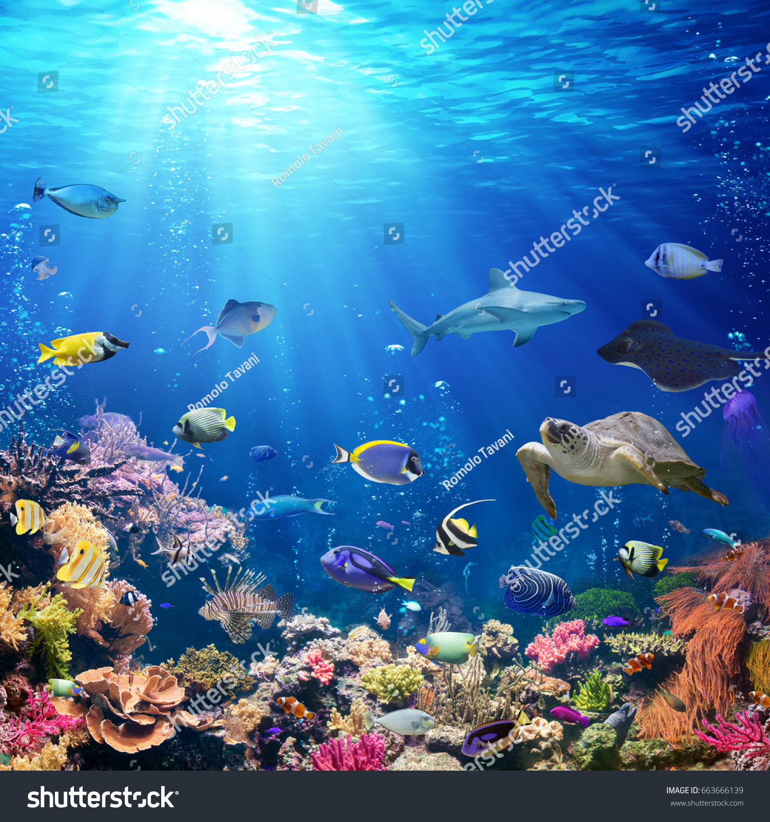 Unterwasser-Szene mit Korallenriff und tropischen Fischen