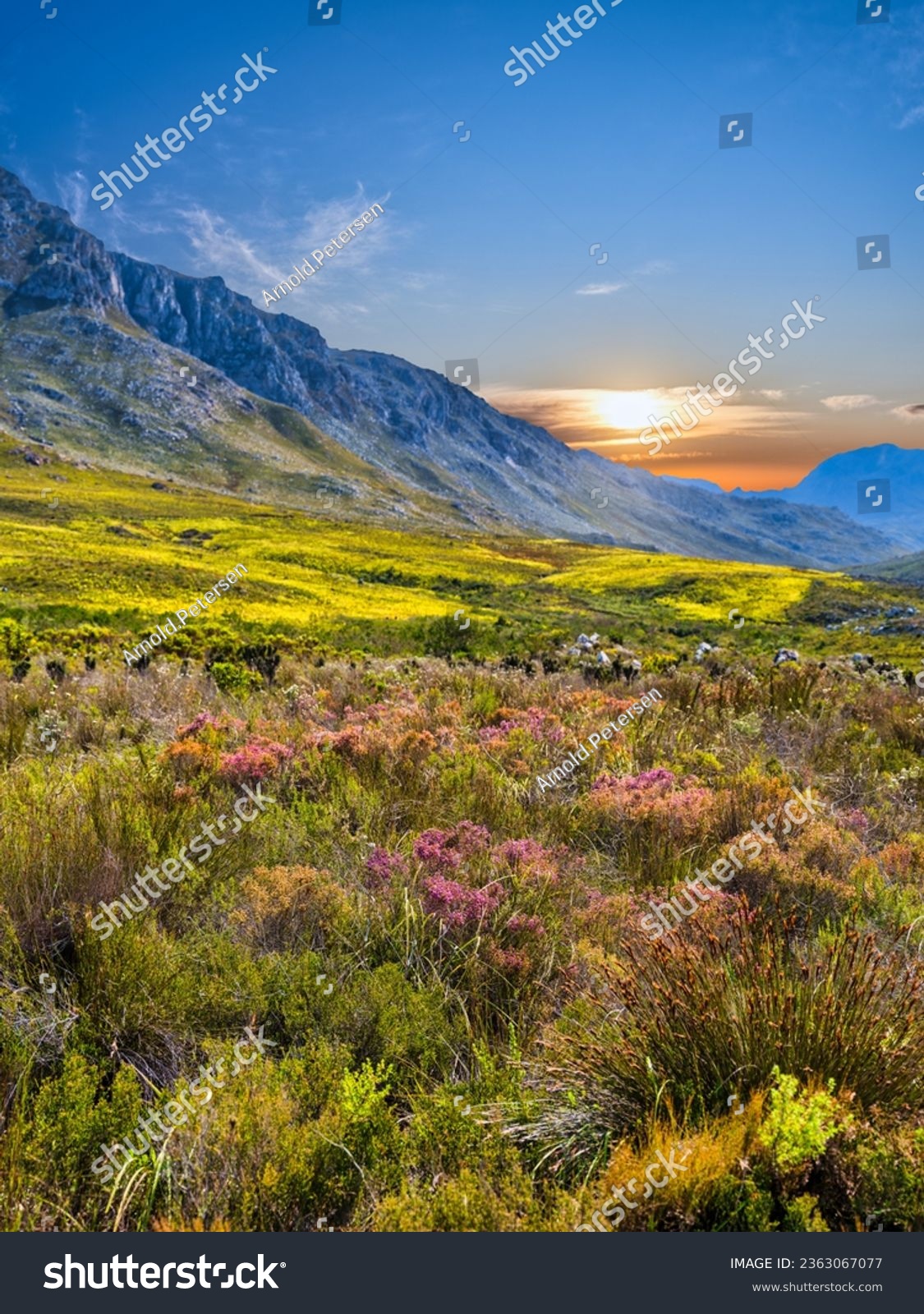Kogelberg-Tal & Hottentots-Holland-Gebirge