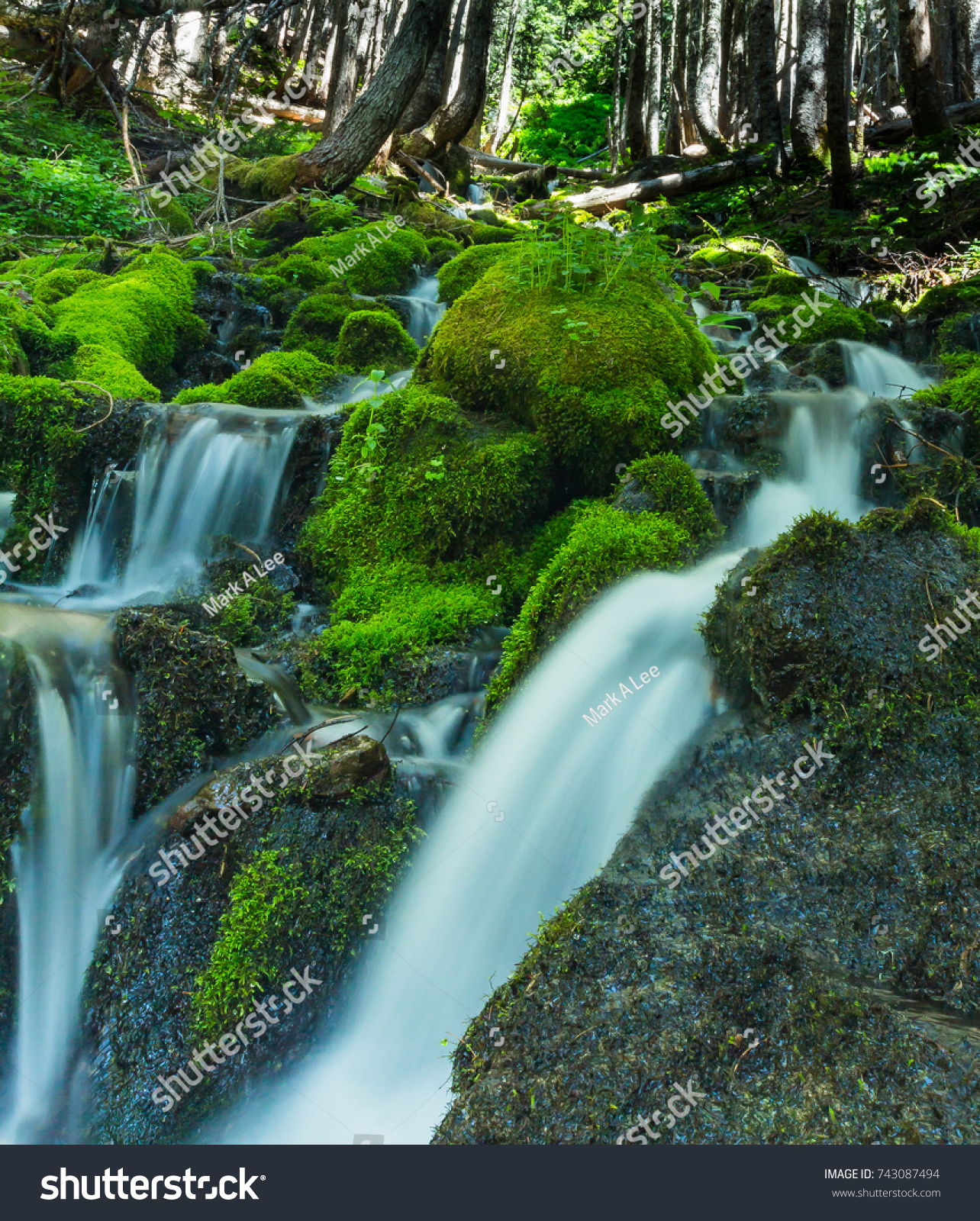Wasserfälle im Mount-Rainier-Nationalpark