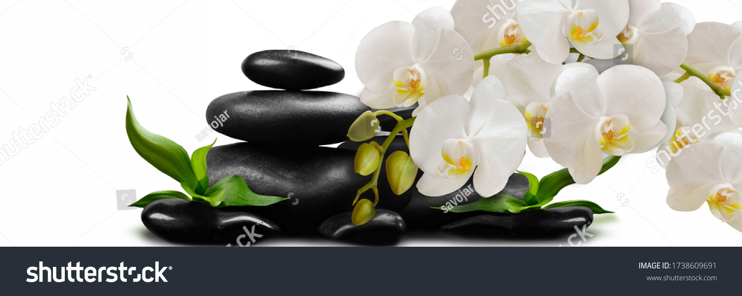 Weiße Orchideen auf schwarzen Steinen