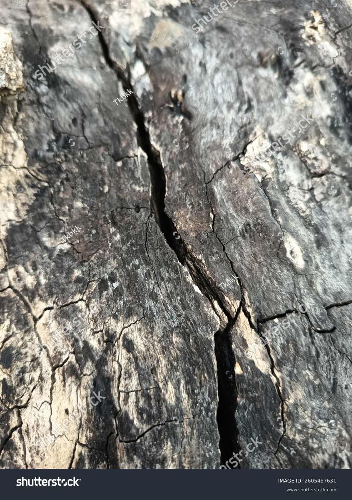 Schwarz-grau-weißes Vintage-Holz